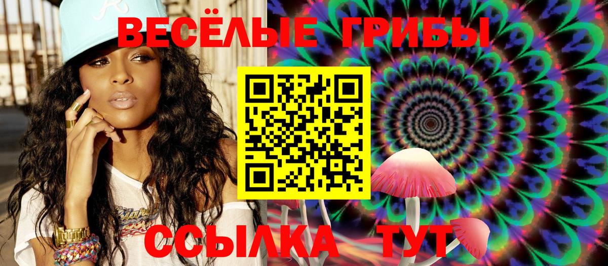 Галлюциногенные грибы Psilocybine cubensis Ишимбай