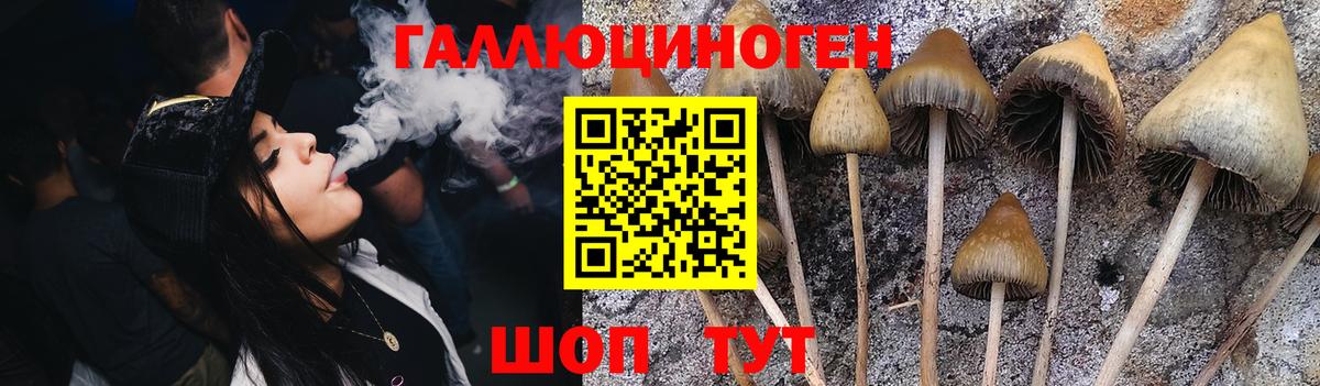 Cocaine  АМФЕТАМИН кристаллы  Ишимбай  Марихуана  Вход с VPN  МЕФ   Экстази 